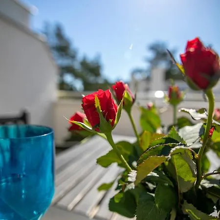 Triapart Amber V アパート *