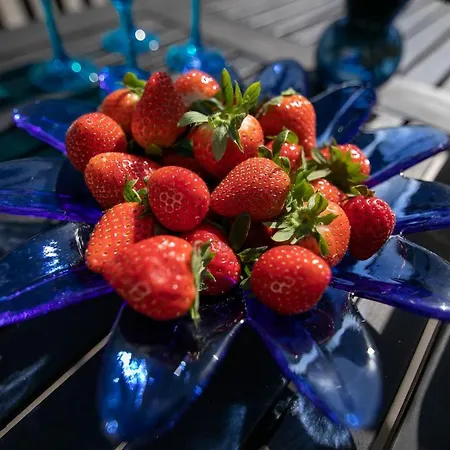 Triapart Amber V アパート