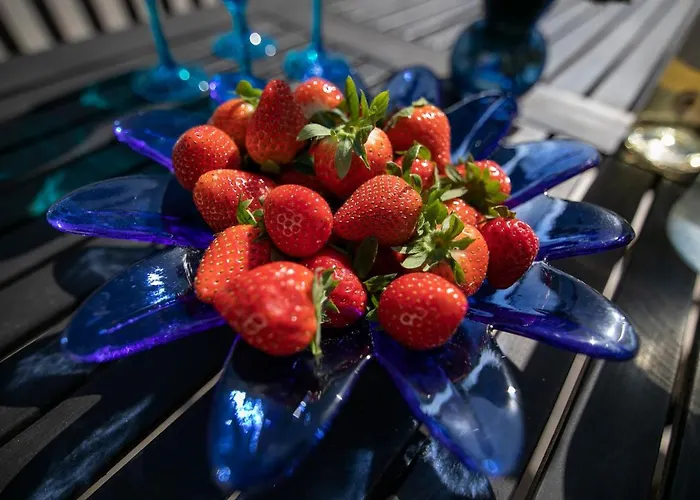 Triapart Amber V Apartament